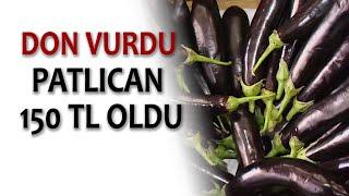 DON VURDU PATLICAN 150 TL OLDU