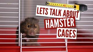 Lets Talk About Hamster Cages 