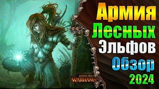 Армия Лесного Бога! - Warhammer 3 - Обзор - Армия Лесных Эльфов