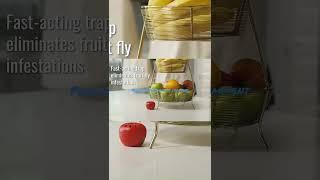 Indoor Fruit Fly Killer #flykiller
