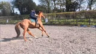 SJ Lesson!