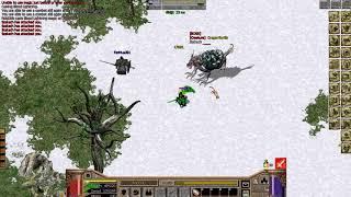 Dragon Raja Global Wizard GamePlay FidoDido Raid Vyseus Maps