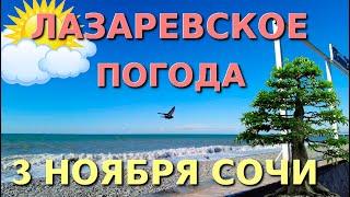 Лазаревское Погода, Лазаревское обзор, Лазаревское сегодня, Сочи сегодня, Лазаревское  набережная