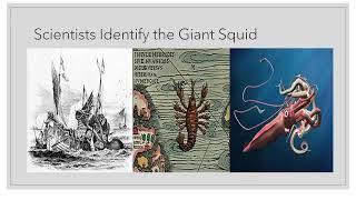 The Kraken: How a Real Creature Became a Mostly Mythical Beast