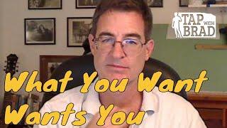 What You Want Wants You - Tapping with Brad Yates