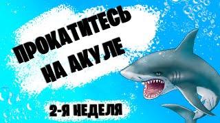 ПРОКАТИТЕСЬ ВОЗЛЕ БЕСПЕЧНОГО БЕРЕГА ПОЙМАВ ПРОЖОРЛИВУЮ АКУЛУ НА УДОЧКУ | 2 НЕДЕЛЯ ИСПЫТАНИЯ АКВАМЕНА