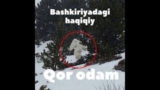 Bashkiriyadagi haqiqiy qor odam