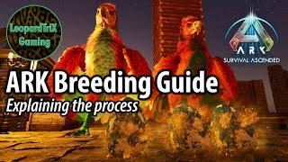 ARK Breeding Guide | Explaining the Process | ARK Survival Ascended