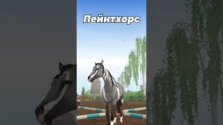 The best horses in Star Stable  #starstable #horses