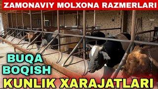 UY SHAROITIDA BUQA BOQISH VA ZAMONAVIY MOLXONA RAZMERLARI