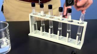 Carolina Investigations® for AP Biology: Origin of Life