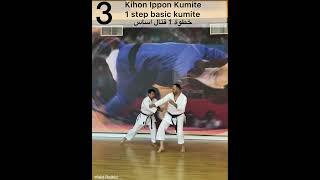 Kihon Kumite X 5 SKO Karate WR. shotokan