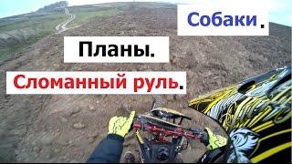 Собаки. Планы. Сломанный руль. (Babzor.ru)