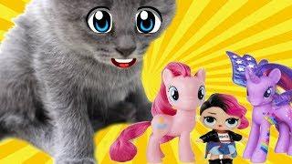 Игрушки My Little Pony и LOL для котенка Мурки / Галчата тв