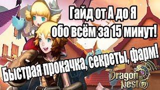 Dragon Nest Mobile полный ГАЙД за 15 минут обо всем