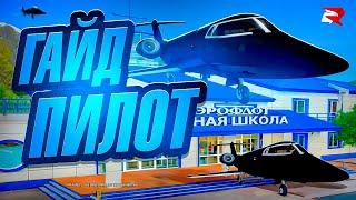 ГАЙД ПО РАБОТЕ ПИЛОТА РОДИНА РП GTA SA