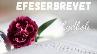 Efeserbrevet / Bibelen Guds ord / lydbok med musikk