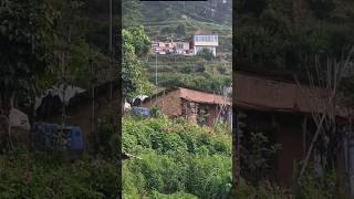 Discover the Magic of Village Flower Decorations!ytsshorts #virolvidio #beautifulflowers #nature