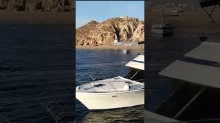 may 8 2025 Cabo San Lucas Fishing with Blue Sky Cabo #1 on TripAdvisor
