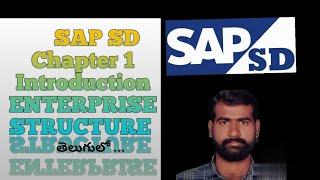 SAP SD Introduction and #Entreprise structure.#తెలుగు లో