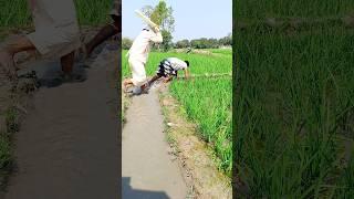 দে খে ন হু জু র কা ম টা কি ক র ল #comedy #funny #farming