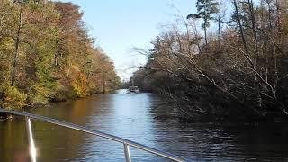 DeFever 52 Dismal Swamp