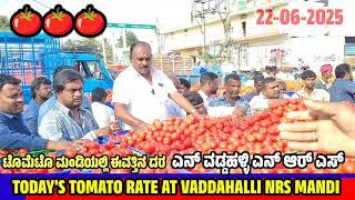 Live auction of TOMATO RATE TODAY AT VADDAHALLI NRS MANDI KARNATAKA