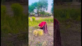 Nisha Meena a video comedy #funny #flimred #comedy #flimroll #dance #love #flimsy #vlog