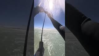 World's Highest Wave? 