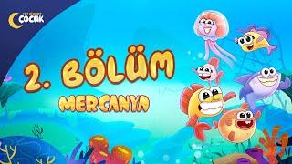 Mercanya | 2. Bölüm | Renkler