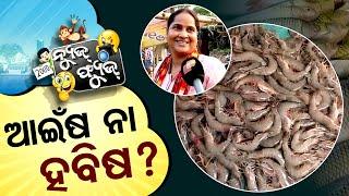 News Fuse 12 NOV 2024 | ଭଣ୍ଡାର ଘରେ ଭୂତ ! | ଫ୍ୟୁଜ୍ Views