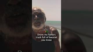 fishing in the Caribbean #jamaica #fishing #fisherman #marlinfishing #fishingtips