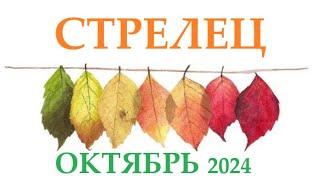 СТРЕЛЕЦ  ОКТЯБРЬ 2024  Прогноз на месяц таро расклад Все знаки зодиака! 12 домов гороскопа!