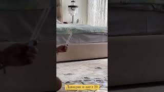 ДАВИДИК УЧИТ АНГЛИЙСКИЙ #самойлова#давидик#английский#животные