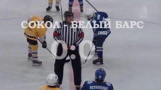 2016.03.19 Сокол 2005 vs Белый Барс (Белая Церковь) 2:7