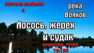 Русская рыбалка 4(рр4) - река Волхов. Лосось, жерех и судак.