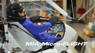 RC Microlight Ultralight Trike Scale Radio Controlled Flying Model with  Detailed Pilot and Cockpit