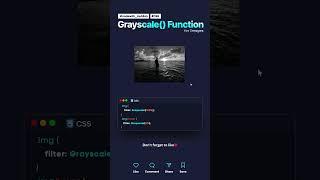 Grayscale Function in CSS #css #coding #Grayscale #Website #frontenddeveloper #cssanimation