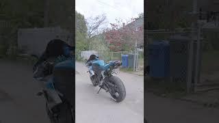 coldstart ASMR #hondacbr600rr #hondacbr600 #hondacbr #600cc #honda #600rr #toce #toceexhaust #ASMR