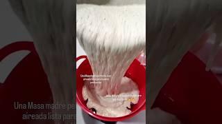 MASA MADRE PRUEBA DE FLOTACIÓN | Super Activa