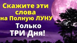 Скажите эти слова на Полную Луну в течении трёх дней | Денежный Ритуал | Магия Жизни