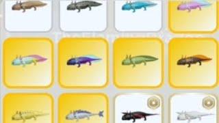 how find all axolotl skins in Animal Simulator: Underwater