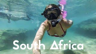 Scuba Diving Aliwal Shoal - South Africa