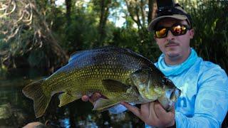 Wild Bass Fishing in NSW | Is the CHATTERBAIT the most versatile bass lure??