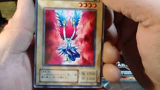 OPENING UP $700+ BOX OF OCG REVIVAL OF BLACKDEAMONS DRAGON.