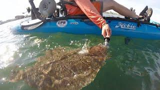 Killer Kayak Flounder Fishing!