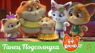 44 Котёнка | "Танец Подсолнуха" песня [ВИДЕОКЛИП]