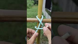 World Famous Knot!