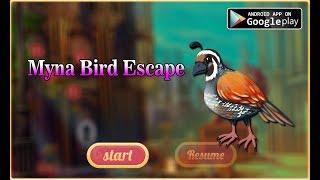 Myna Bird Escape walkthrough AVMGames.