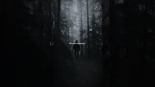 Numb Little Bug - Em Beihold | lyrics | aesthetic | whatsapp Status | English songs | slowed #lyrics